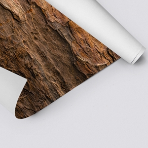 Picture of Tree Bark