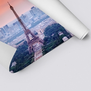 Picture of Paris Skyline
