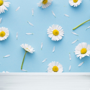 Show details for Daisy