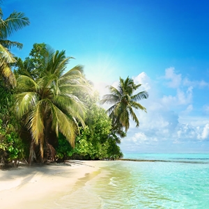 Show details for Beach