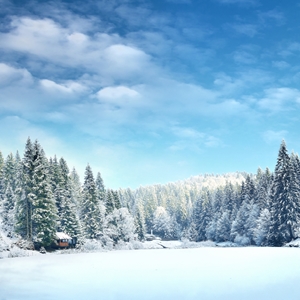 Show details for Winter Snow