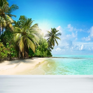 Show details for Beach