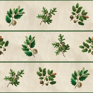 Show details for Oak Pattern